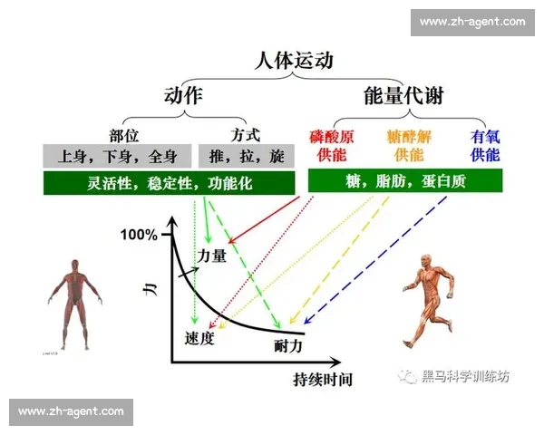 科学训练与运动指导相结合助力全民健康体能提升方案